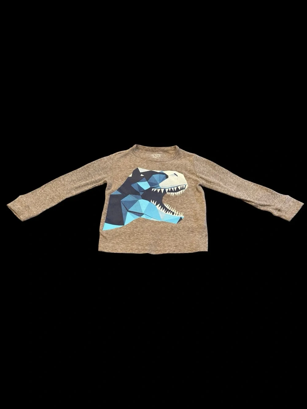 The Childrens Place Dino Graphic Thermal Shirt